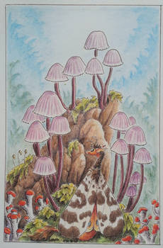 Sacred Mushroom Glen
