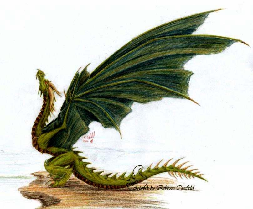 swamp wyvern