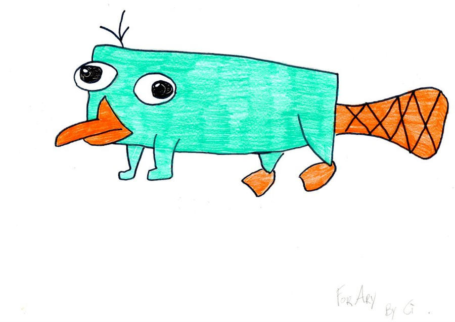 Perry l'ornitorinco ( platypus) by StraightEdgePlayer on DeviantArt