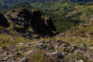 Crowrock