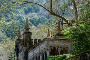 Quinta