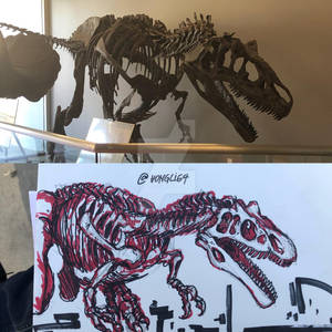 Allosaurus skele-sketch