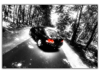 Civic in the forrest_02