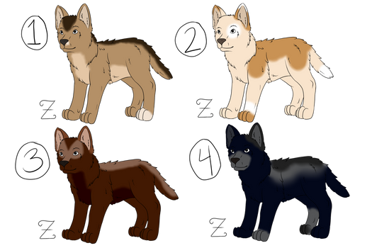 FREE Wolf Adopts CLOSED