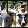 Kora Borzoi mask