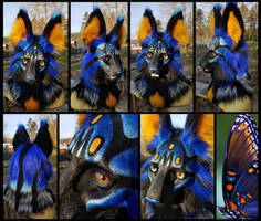 Blue Butterfly Cat Mask!