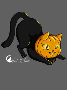 Pumpkin Kitty