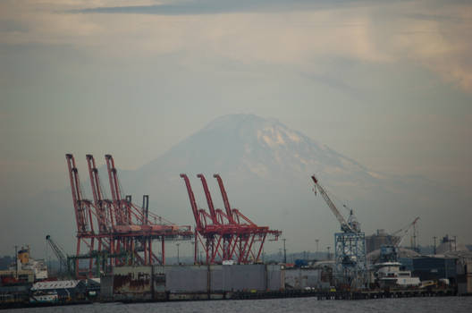 Mt Rainier in the Distance