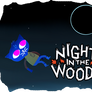 Night In The Woods ID picture