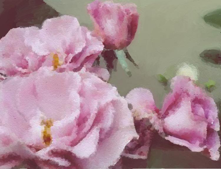 Rose Impressionism