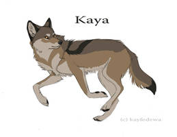 Kaya - contest submission