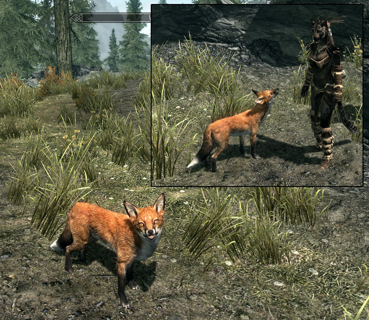 Skyrim Mod: Fox Texture