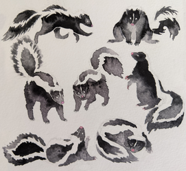 Skunks watercolor