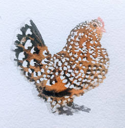 watercolor chicken