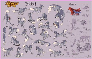 Cricket model sheet 2023
