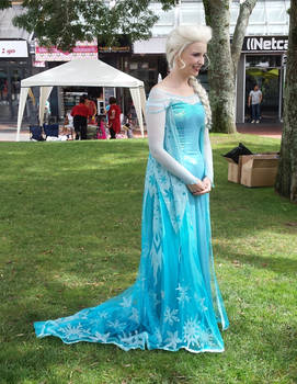 elsa at a children's festival