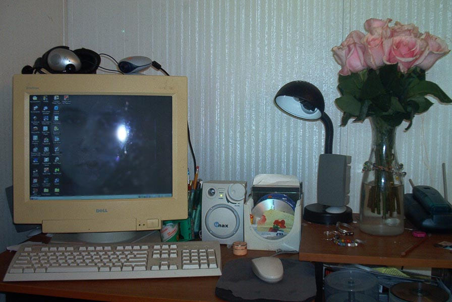 Roses on My Desktop