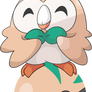 Rowlet's Pokeball