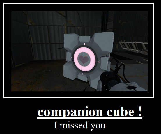 companion cube