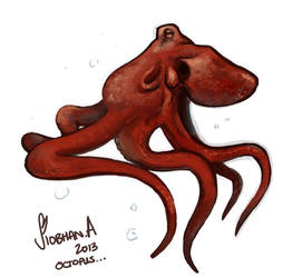 Octopus