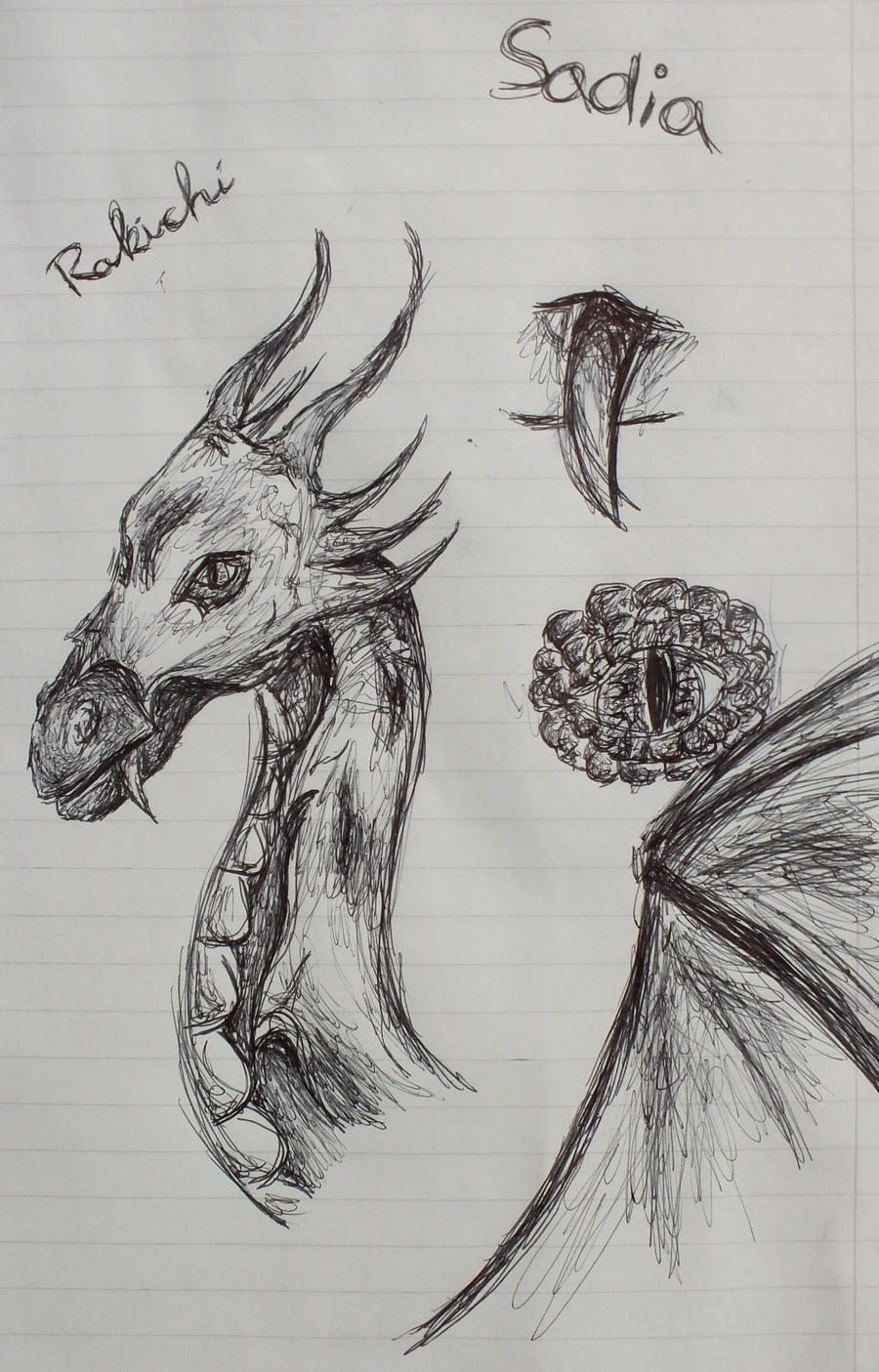 Sadia sketch by XxRakichixX