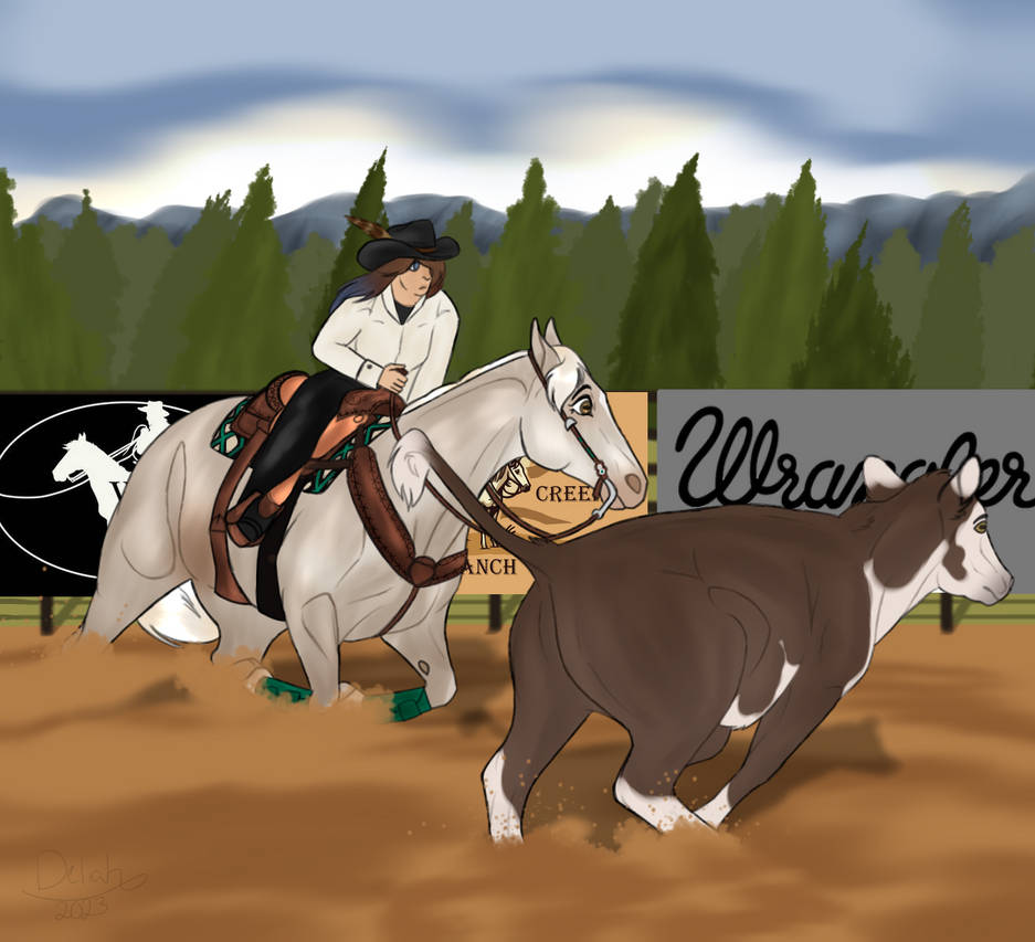 WHA Rodeo in the Rockies | Cutting | #2 by StormieTehHorsie on DeviantArt