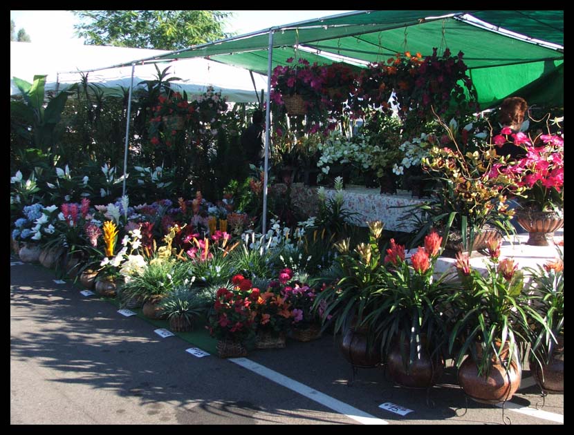 Flower Stall