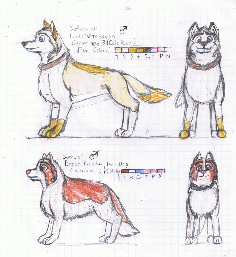 Balto OC Concepts by K9RASArt on DeviantArt