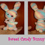 Sweet Candy Bunny