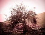 Yggdrasil - The Tree Of Life by RinoTheBouncer