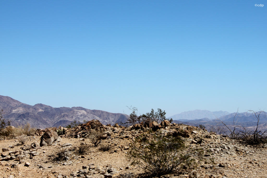 Joshua Tree National Park