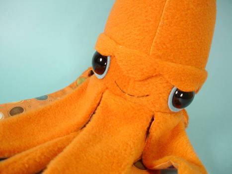 giant squid - close up