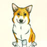 Pembroke Welsh Corgi