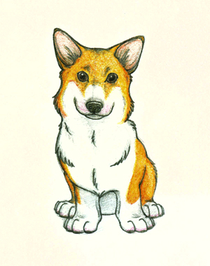 Pembroke Welsh Corgi