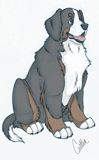 Bernese Mountain Dog - Colored