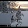 sunrise of winterland