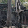 angkor Wat VII