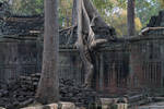 angkor Wat VII