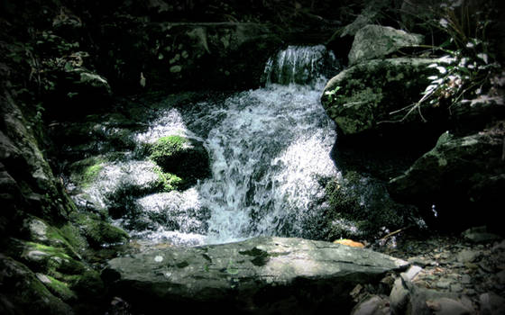 Appalachian trail spring