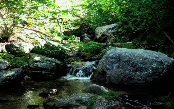 water spring