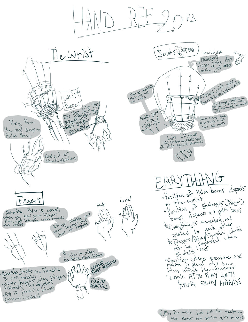 Comprehensive Hand References Hand Anatomy Reference by Malzberry on DeviantArt