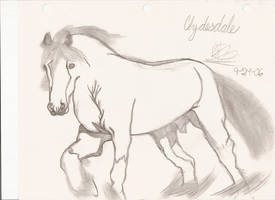 Clydesdale