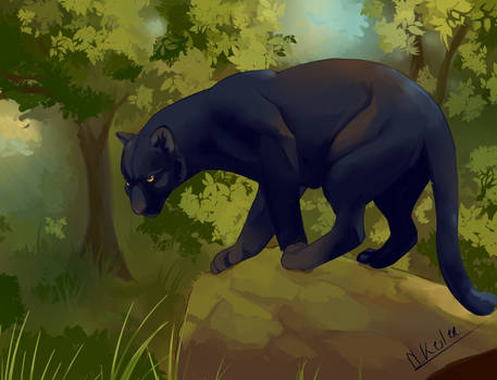 Forest panther