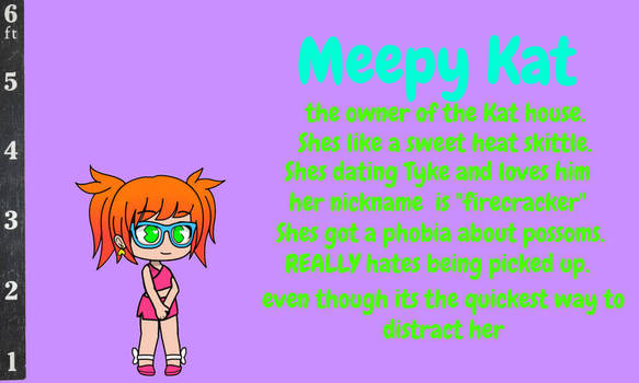 Meepy Kat