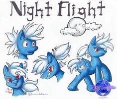 Comm: Night Flight