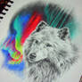 Arctic wolf