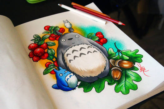 3 totoro