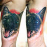 cat tattoo