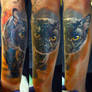 cat sleeve in progress