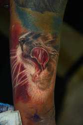 cat tattoo